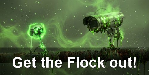Get the Flock out!