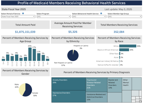Autism and Vulnerability in Virginia Medicaid