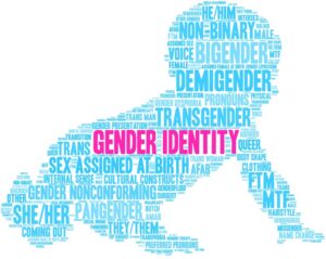 Fairfax County FLECAC Moves Closer to Gender Ideology Instruction in Elementary Schools