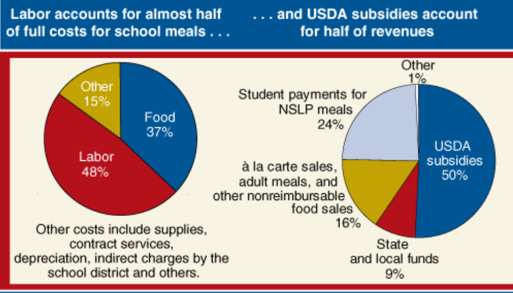 Danika Roem’s “Free School Meals” Campaign is Bad for Students and Creates Food Deserts