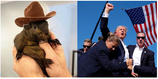 Embracing the Unconventional: Lessons from Peanut the Squirrel and the challenges faced by Trump.