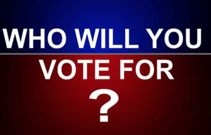 Who are you voting for?  Or better, what are you voting for?