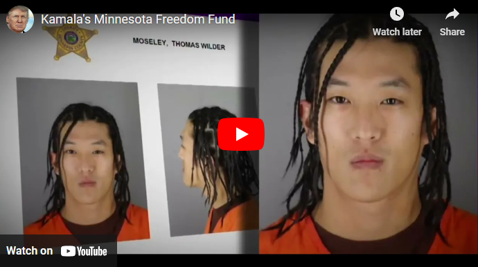 Kamala Harris Donated to the Minnesota Freedom Fund, Which Let Criminals Run Our Streets