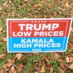 What you need to know about the Virginia election results