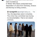 Juli Briskman Compares Deportation of Violent Criminals to the Holocaust as Loudoun Supervisor