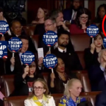 Rep. Suhas Subramanyam Stays Seated During Trump’s Congressional Address, Sparking Debate