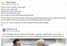 Phyllis Randall, Loudoun County Chairwoman Sparks Controversy Over Deportation Comments on Social Media