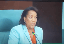 Loudoun Republicans Stand Firm Against Phyllis Randall’s Plastic Bag Tax