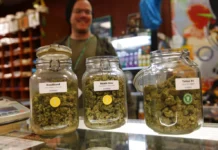 Reclassifying marijuana places corporate greed before public safety