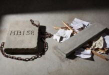 Democrats STOP New Legislation, Gender Transition Attempts on Minors as Child Abuse Stalls in House Committee