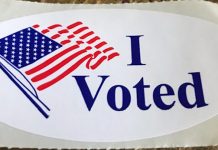 Voting Rights and the Left of Virginia