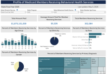 Autism and Vulnerability in Virginia Medicaid