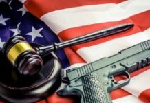 Virginia Court Halts Spanberger’s AR-15 Ban, Delivering a Major Victory to Gun Owning Owners