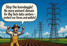 The Valley Link Power Line Boondoggle: Big Energy’s Costly Assault on Virginia’s Heartland to Fuel Data Center Cronyism Big Energy's Costly Assault on Virginia's Heartland to Fuel Data Center Cronyism